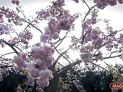 सुपर अट्रेक्टिव ब्लोंडाइन डेर हाई सोसाइटी विर्ड इन स्ट्रम्पफ एंड क्लेड गेफिक