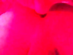 yeni sistar and bridar xxx sex videom. my new out fuck video yeni sistar and bridar xxx sex videom. my new out fuck video