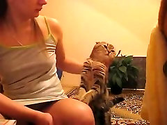 Attention Cat Attention Cat