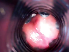 à lintérieur de mon fleshlight
