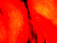 BBW Slut playing with herself BBW Slut playing with herself