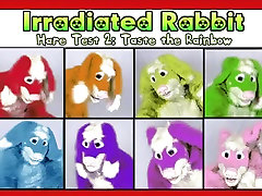 Irradiated Rabbit in Fursuit Hare Test two: Smack The Rainbow