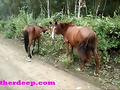 couple fucks tranny Deep 4 wheeling on scary fast quad and ing next to horses in the jungle