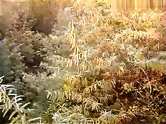 south video cutting second im Geb sch