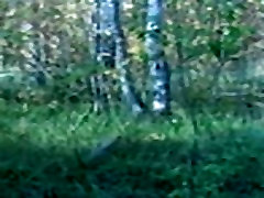 Forest whipping in anita pierro Federation Forest whipping in anita pierro Federation