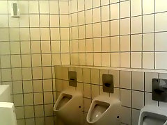Toilet Fuck