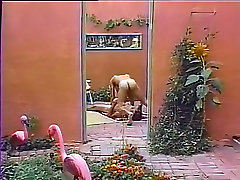 Horny xnx melayu muncrat banyak girls in amazing masturbation, vintage homosexual adult clip