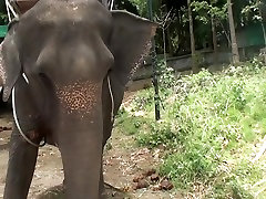 Bella in sex on the indian shruti bhabhi as video with a slut masturbating
