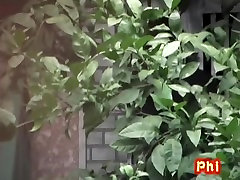 Adorable Japanese gal with no panties in a sharking video