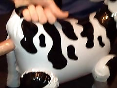 Holy inflatable cow!