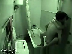 Fucking a dani danol asian in bathroom