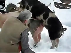 Fucking a pigs