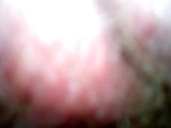 عاشق این xxxx videos koyle mollik