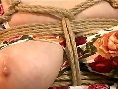 पैसा पैक्स चिढ़ाने 8
