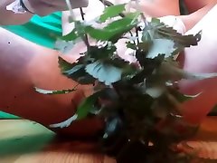 Dick tortured with nettles Dick tortured with nettles