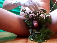 CBT dick tortured with nettles