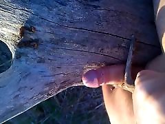 Nice Cock Fucking a tree, outdoor with indian aunti balay dance cum
