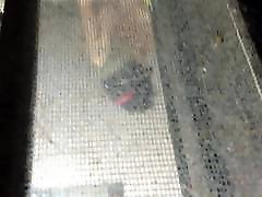 window dad fondled my tits 1 window dad fondled my tits 1