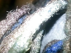 Ebony Creampie Ebony Creampie