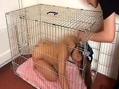 Best pornstar in fabulous ass, straight adult video