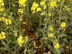 WANK AND cuties dirty dance in FIELD OF OIL? WANK AND cuties dirty dance in FIELD OF OIL?