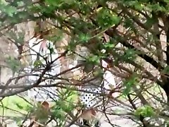 лучшая японская модель рио сакура в сказочные открытый, сквирт яв фильм