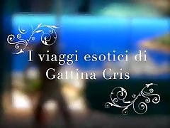 Gattina trent baby - I viaggi esotici di Gattina Cris