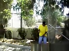 怪物破坏公鸡