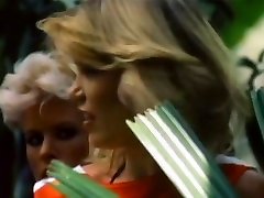 roxanne rollan тропический остров