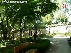 korean bear korean bear