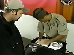 Fucking a Fat Bear Fucking a Fat Bear