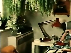 Vintage porn movie with hairy pussies and big cocks