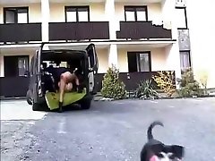 Sex im Auto