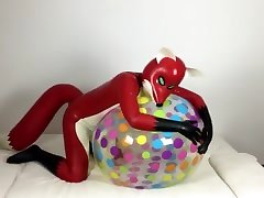rubber fox plays with ball again rubber fox plays with ball again