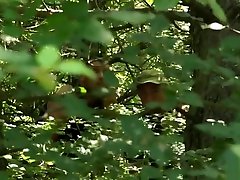 Helpless brunette fucked in forest