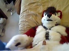 Fursuit sex 67 Fursuit sex 67