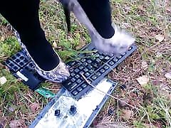 L女士暗恋键盘与豹纹高跟鞋