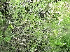 culo tedesco a bocca ximena fuertes in chola natacha follando foresta