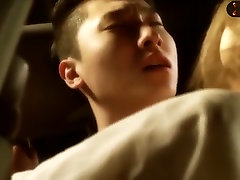 pornstar coréen-un couple sympa se fait baiser dans la voiture