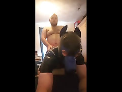 rubber puppy fucking