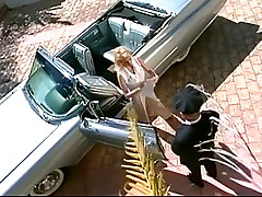 Davia busty girl ass porn - Silver Screen Confidential 1996
