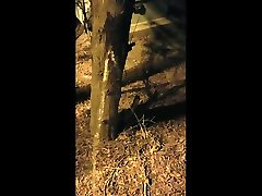 большой моча спрей на utility box