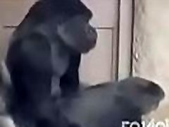 trmarys mature ANIMAL trmarys mature ANIMAL