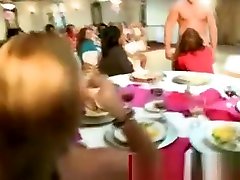 Real hot cfnm baisela cite sucking party