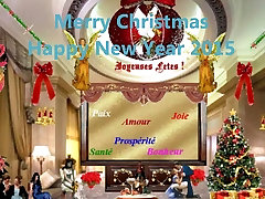 Merry Christmas and Happy New Year 2015 by Aline