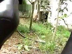 伊娃小姐
