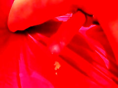 Hands free orgasm and cumshot 12