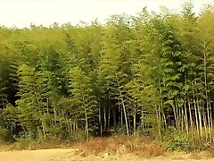 Crazy orgazm crempi movie gay Solo Male crazy like in your dreams