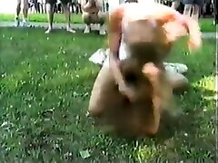 video di combattimento gatta anni 90