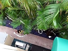 Angry and hurt Vienna Black TPs her exs house then gets